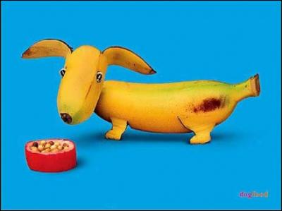Quel animal représente cette banane ?