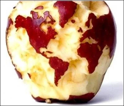 Qu'y a-t-il sur cette pomme ?