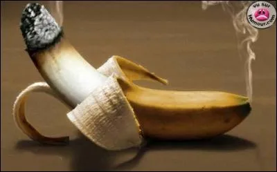 À quoi nous fait penser cette banane ?