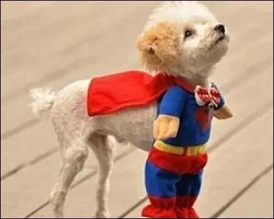 Voilà un autre super-héros. Trouvez son nom !