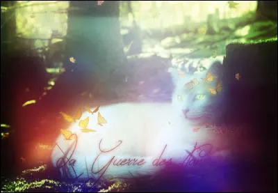 Feuille de Houx et Pelage de Lion sont :