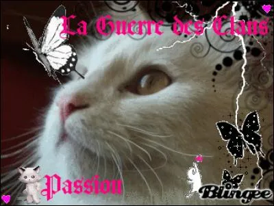 Poil d'Ecureuil est la fille de :