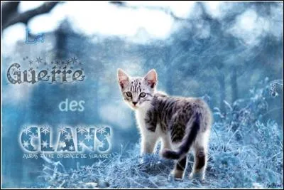 Quel est le pouvoir de Pelage de Lion ?