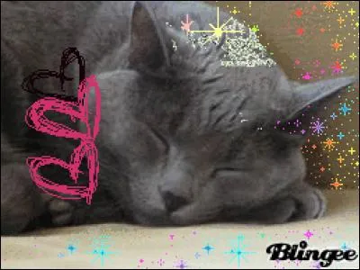 Quel est le pouvoir de Nuage de Colombe ?