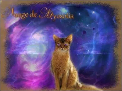 Qui Pelage de Lion aimait-il ?