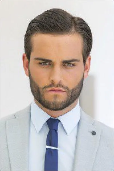 Quel était le projet pro de Nikola ?