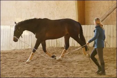 Qu'utilise-t-on le plus souvent pour longer un cheval?