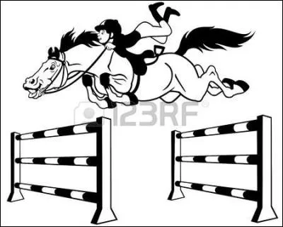 Parmi ces 4 propositions, quels sont les obstacles mobiles ?