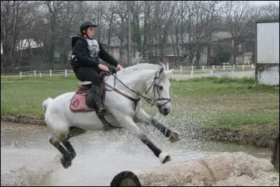Lorsque votre poneys porte des crampons, quelles sont les protections conseillées ?