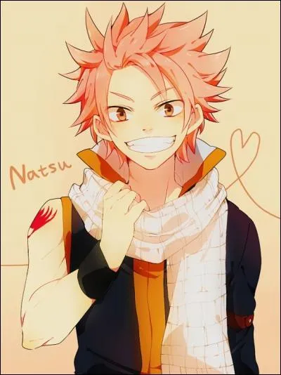 Que veut dire "natsu" ?