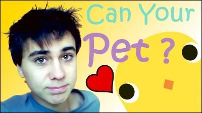 À 00h06 le 28 juillet 2016, combien de vues faisait sa vidéo sur Can Your Pet ?
