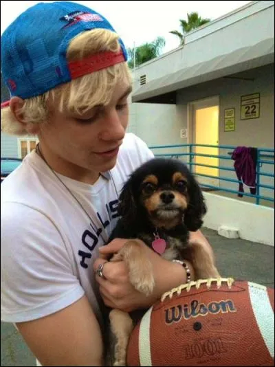 Ross a joué dans une autre série, comment s'appelle-t-elle et quel était son rôle ?