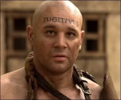 Quel est cet autre empire qui adopta le même principe où même les esclaves voulant se rebeller étaient tatoués avec des phrases explicites ?