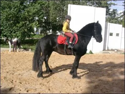 As votre avis, quel est son caractère?