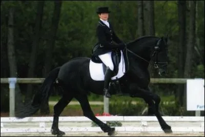 Aujourd'hui, pourquoi est-il utilisé? (choix multiples)