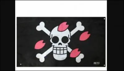 À qui appartient ce drapeau ?
