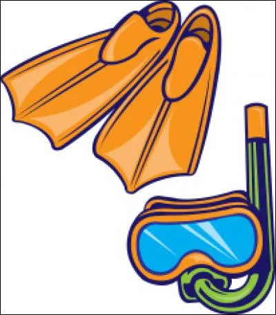 Tu veux nager et regarder les poissons sans sortir la tête de l'eau. Quel accessoire te permet de respirer ?