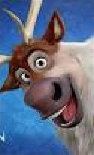 Comment s'appelle le renne de Kristoff ?