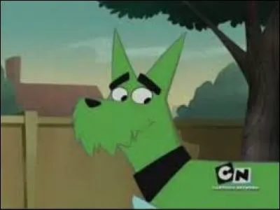 Qui est ce chien vert ?