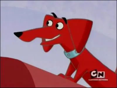 Qui est ce chien rouge ?
