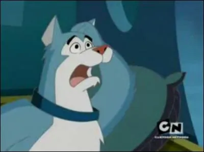 Qui est ce chien des neiges ?