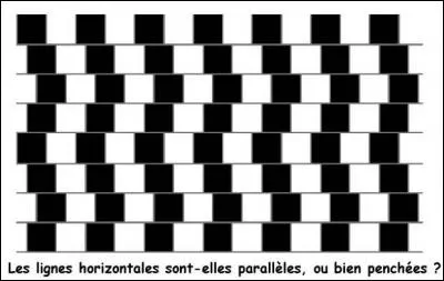 Les lignes horizontales sont-elles penchées, ou bien parallèles ?