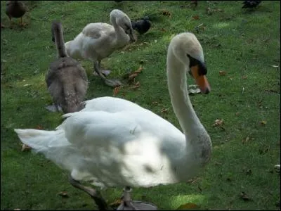 Citation : Les lettrés, les érudits, les savants, montent à des échelles ; les poètes et les artistes ...