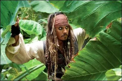 Dans "Pirates des Caraïbes", il aime se faire appeler "commandant Jack".