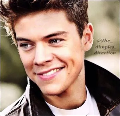 Pour quelle carrière arrête-t-il le groupe ?