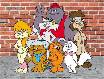 Quelle chaîne de télévision française est à l'origine de la diffusion des Entrechats ?