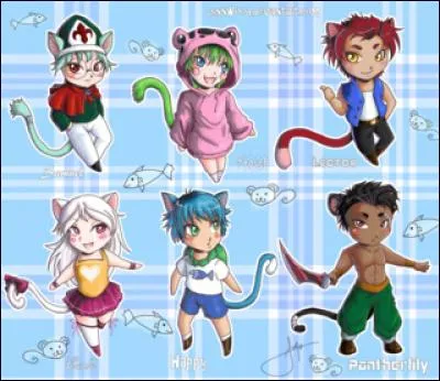 Quel était le but des exceeds lors de leur arrivée dans le monde d'Earthland ?