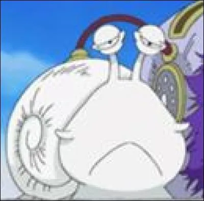 A quoi sert cette race de Den Den Mushi (escargophone) ?