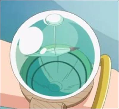 Après Water Seven, quelle destination indique le Log Pose ?