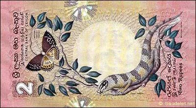 Si vous possédez 3 000 roupies srilankaises, combien d'euros avez-vous ?