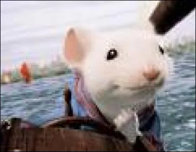 Quel dessin animé met en scène la petite souris blanche ci-contre ?