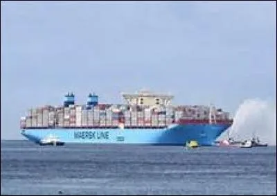 Quel est l'armateur du Triple-E ?