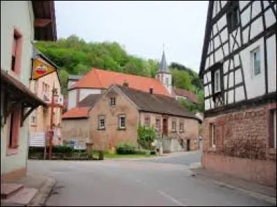 Nous flânons dans les rues de Siersthal. Village lorrain du Pays de Bitche, dans le parc naturel régional des Vosges du Nord, il se situe dans le département ...