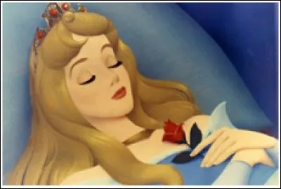 Combien de temps la Belle au bois dormant reste-t-elle endormie ?