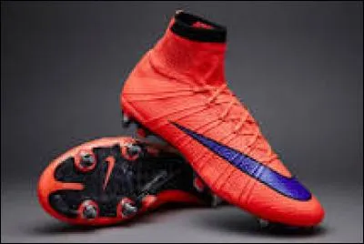 De quels crampons s'agit-il ?