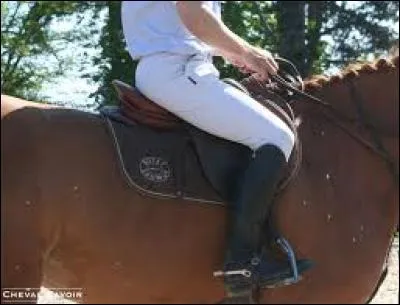 Pour faire avancer votre cheval ou poney, vous :