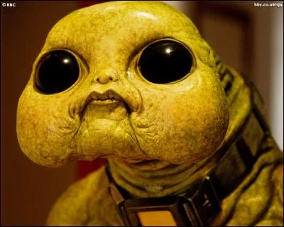 Quel est le nom de la planète des Slitheen ?