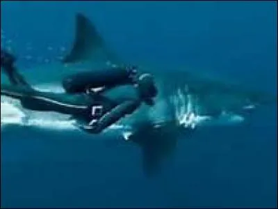 À quel métier peut-on accéder avec l'océanologue ?