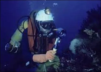 Pour devenir océanologue, par quoi faut-il commencer ?