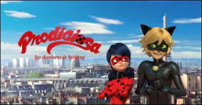 Marinette est amoureuse d'Adrien. Chat Noir est amoureux de Ladybug.