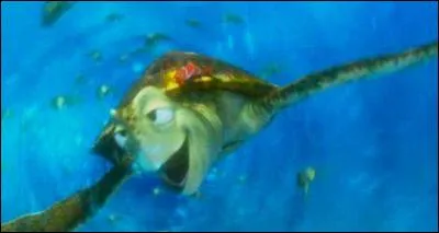 Combien Dory cherche-t-elle de bébés tortues ?