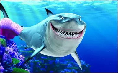 Comment s'appellent les 3 requins ?