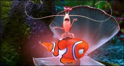 Comment s'appelle la crevette nettoyeuse ?