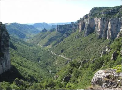 Quelle est cette rivière, née au mont Aigoual, dont l'on dit qu'elle est une version plus modeste du Tarn, dans lequel elle se jette au Rozier ?