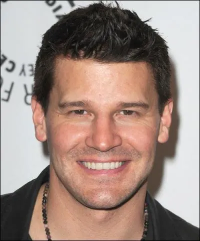 Qui est l'acteur qui a été Angel un des petits amis de Buffy ?