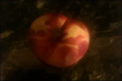 Que voit-on sur cette photo ?